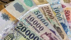 FIGYELEM: 1 millió forint értékű támogatás vidéki éttermeknek és büféknek!